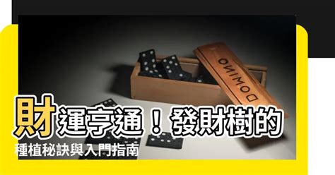 水晶樹擺放|辦公桌水晶擺放指南：教你財運亨通、職涯順遂！ 